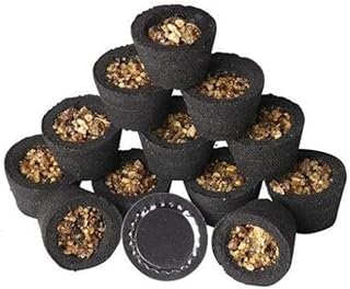 Sambrani Dhoop Cups with Burner (Pack of 2)