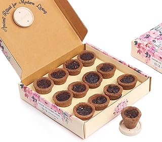 Nytarra Natural Sambrani Havan Cups (12 Pcs)