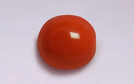 Red Coral - 3.53 Carats