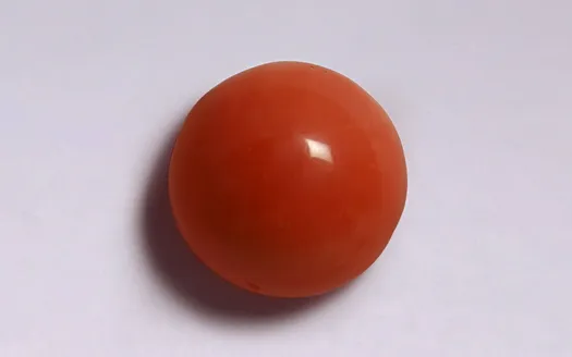 Red Coral - 3.68 Carats