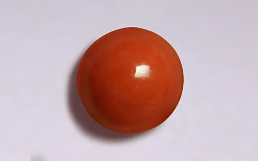 Red Coral - 3.44 Carats