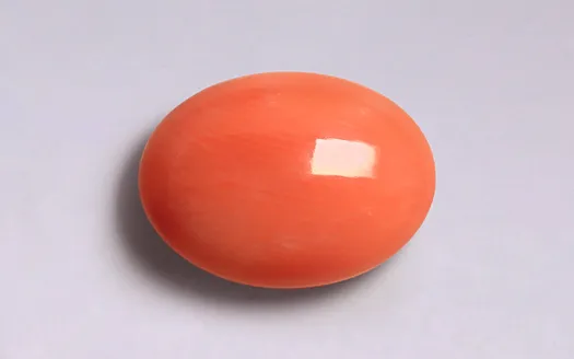 Red Coral - 4.07 Carats