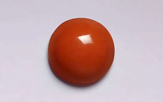 Red Coral - 3.19 Carats