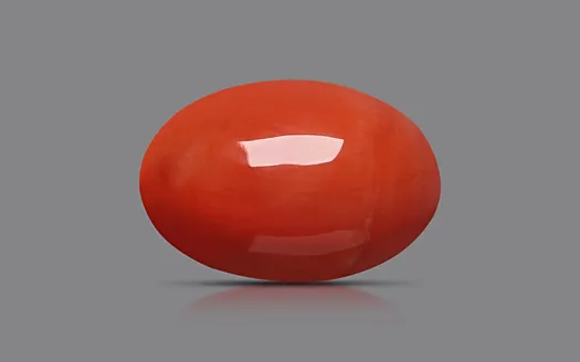 Red Coral - 3.50 Carats