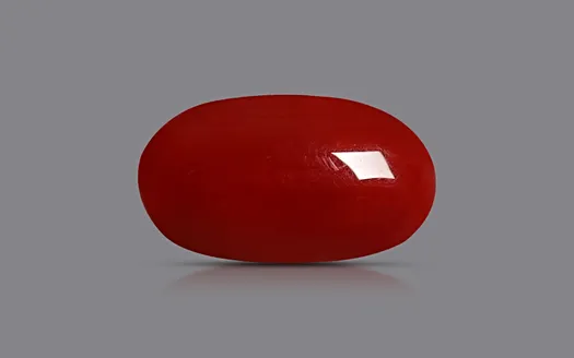Red Coral - 3.81 Carats