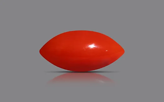 Red Coral - 3.78 Carats