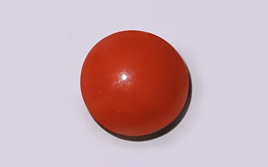 Red Coral - 3.92 Carats
