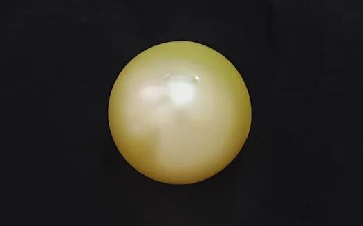 Golden South Sea - 8.95 Carats