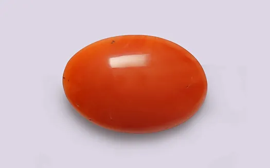 Red Coral - 3.72 Carats