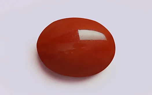 Red Coral - 1.39 Carats