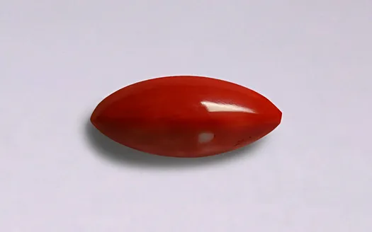 Red Coral - 3.65 Carats