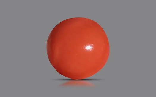 Red Coral - 3.95 Carats