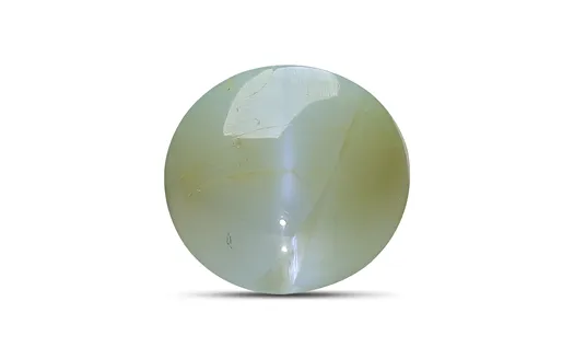 Cat's Eye - 4.66 Carats