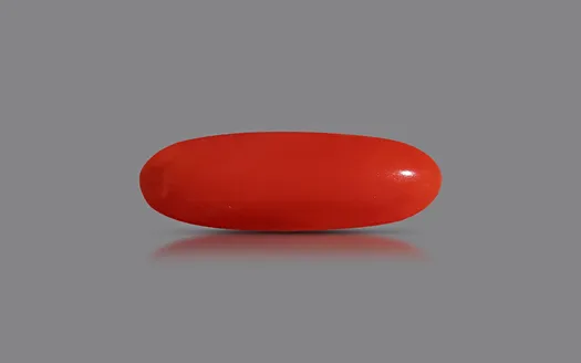Red Coral - 3.56 Carats