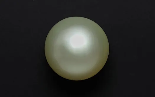 Golden South Sea- 8.34 Carats