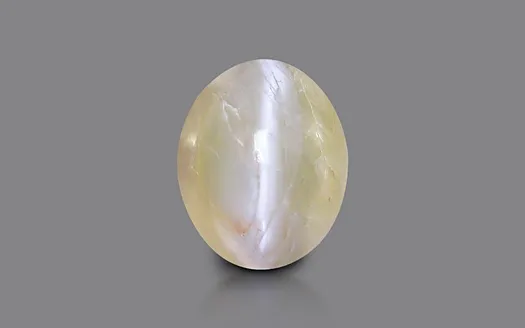Cat's Eye - 5.61 Carats