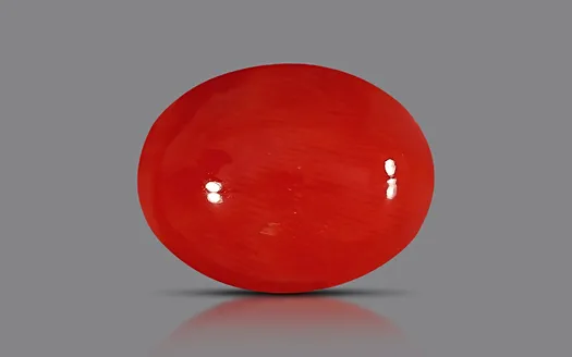 Red Coral - 3.59 Carats