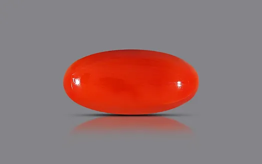 Red Coral - 3.71 Carats