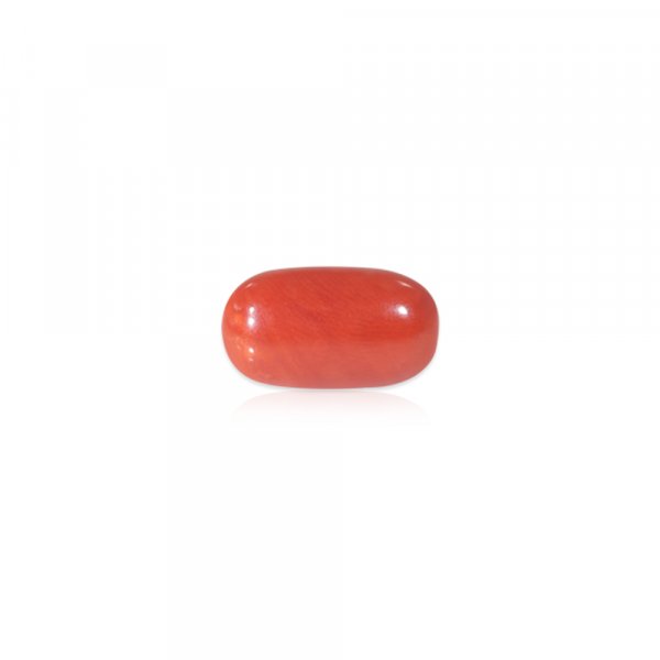 Red Coral - 10.90 Carat