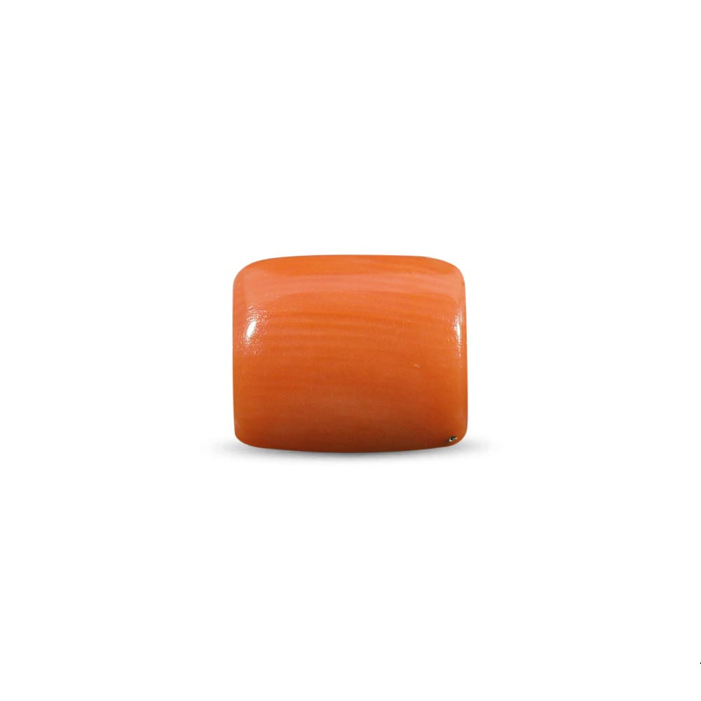 Red Coral (Moonga) - 4.40 Carat
