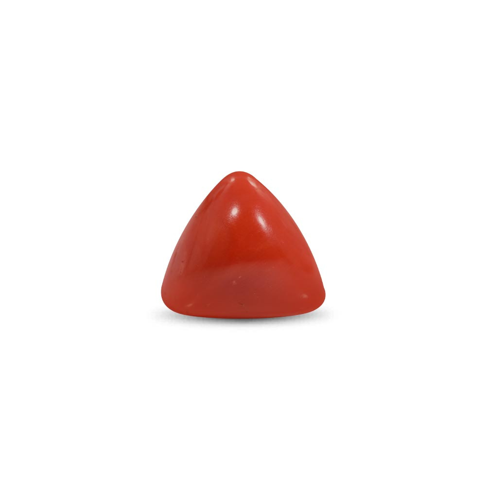 Red Coral - 22.2 Carat