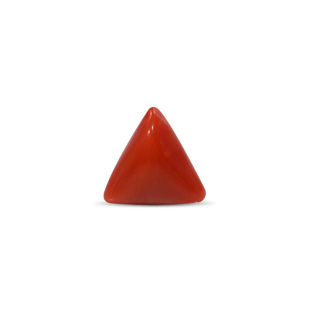 Red Coral - 3.69 Carat