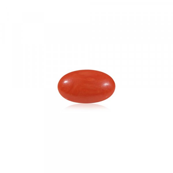 Red Coral (Laal Moonga) - 4.53 Carat