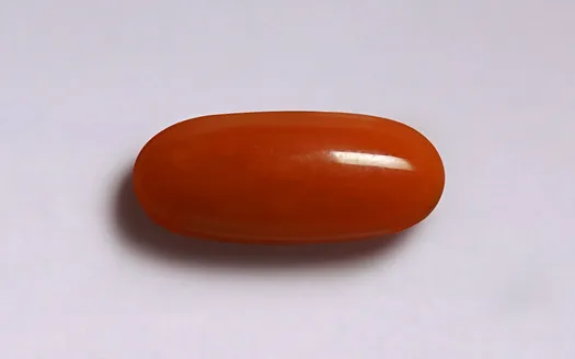 Red Coral - 3.67 Carats
