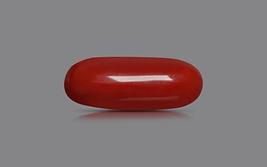 Red Coral - 3.54 Carats