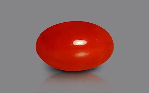 Red Coral - 3.75 Carats