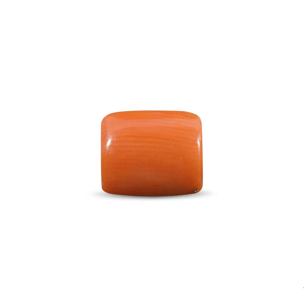 Red Coral (Moonga) - 4.40 Carat
