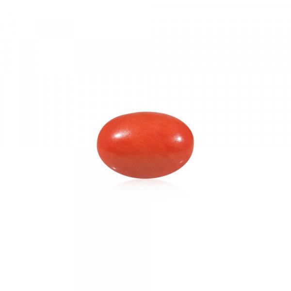 Red Coral (Moonga) - 4.54 Carat